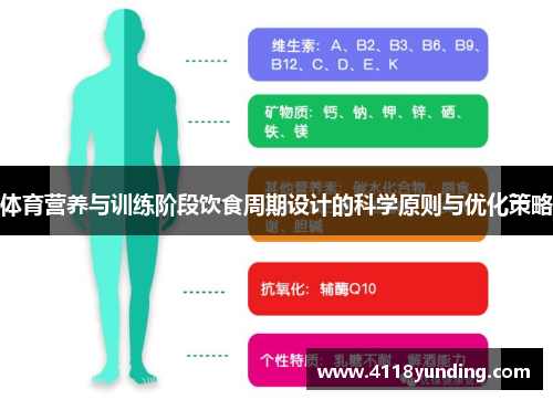 体育营养与训练阶段饮食周期设计的科学原则与优化策略